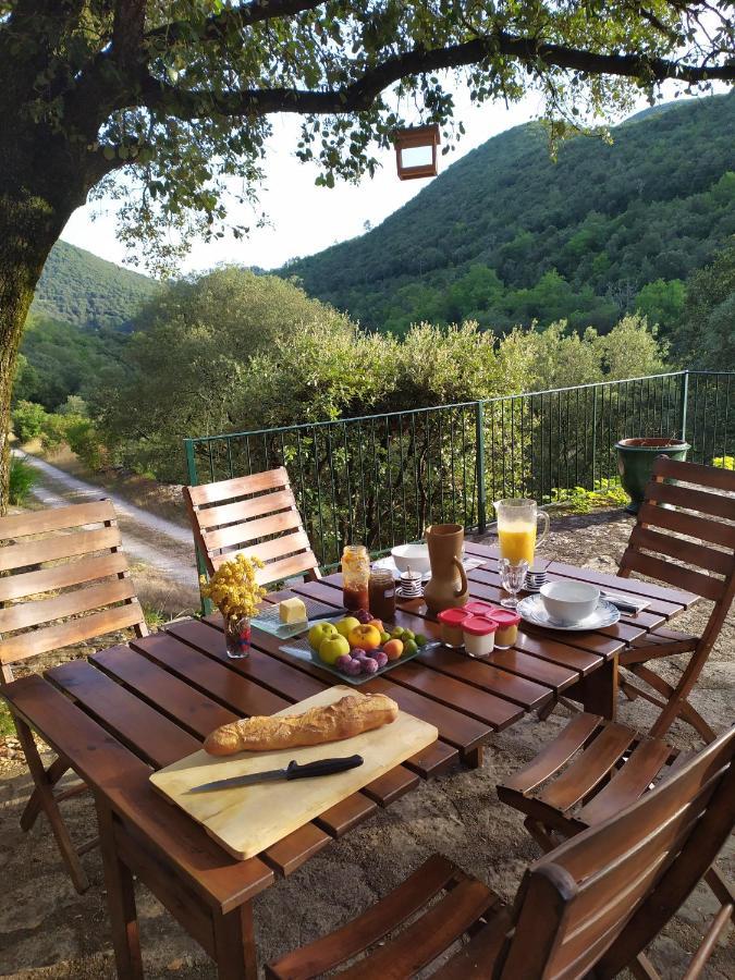 Chambre Cevennes: Piscine, Lamas, Riviere Cros  Exterior foto